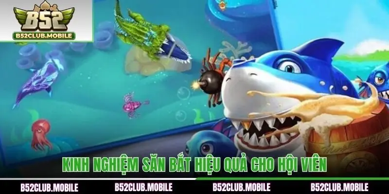 Kinh nghiệm săn bắt hiệu quả cho hội viên